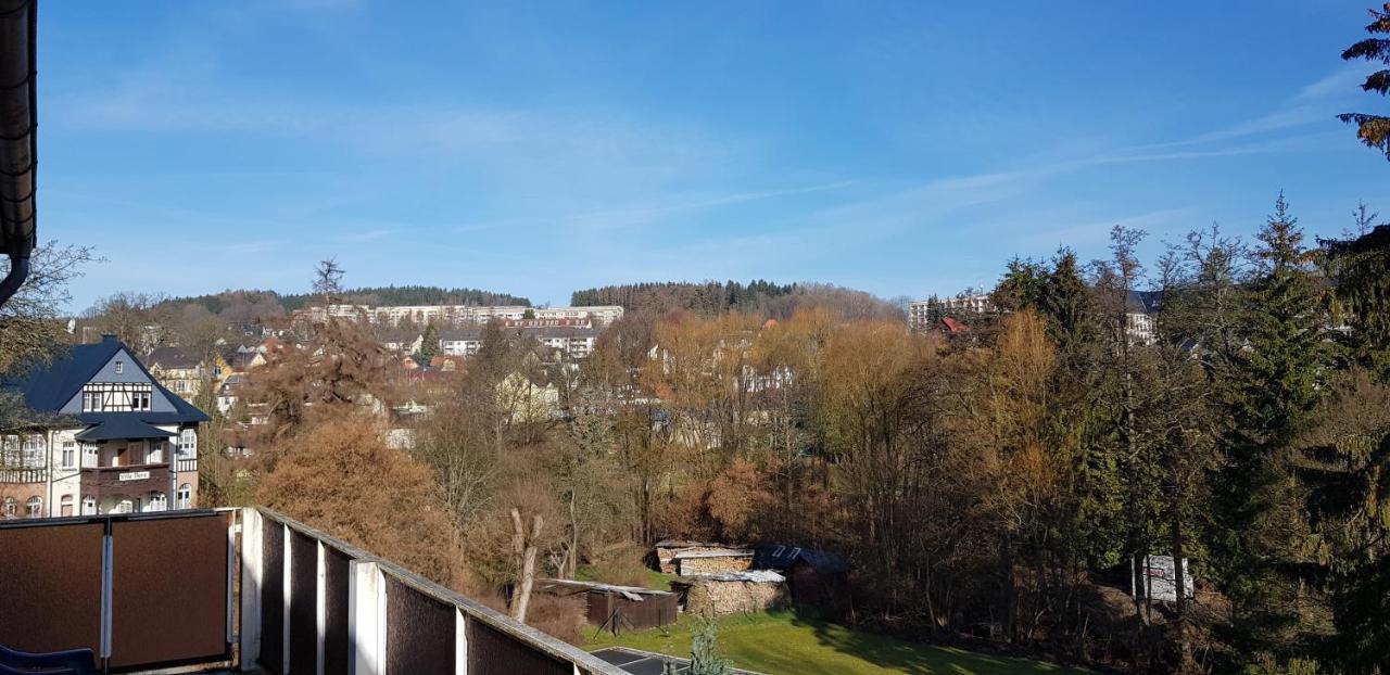 Ferienwohnungen Villa Goldbrunnen Bad Elster Exterior foto